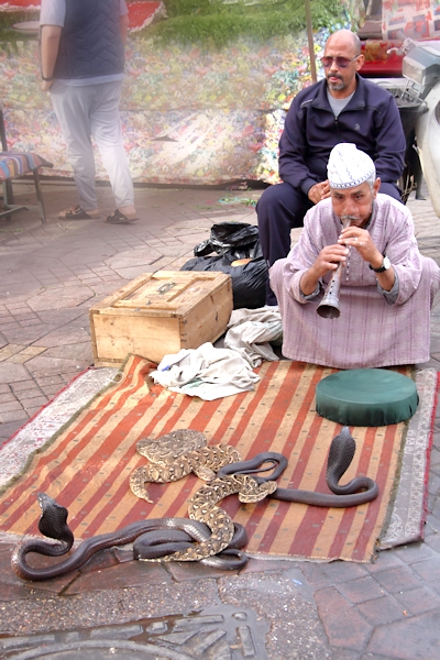 Snake Charmer in the market square, Marrakesh