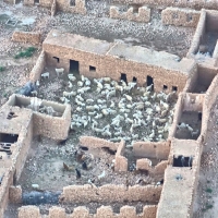 Close up of sheep pen in village seen from a Hot Air Balloon outside Marrakesh
