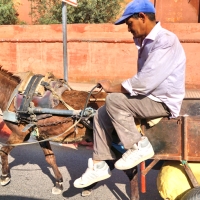 All-purpose donkey, Marrakesh