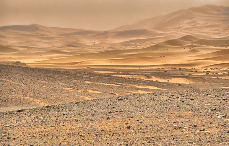 Sahara by Merzouga