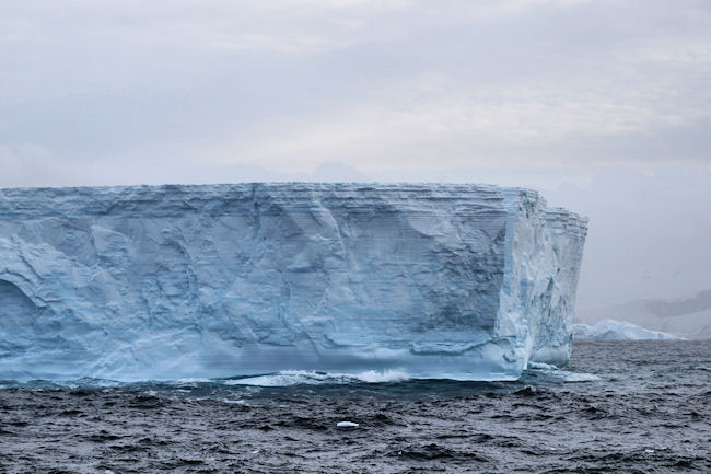 SouthGeorgia_iceberg_DSC06246.JPG