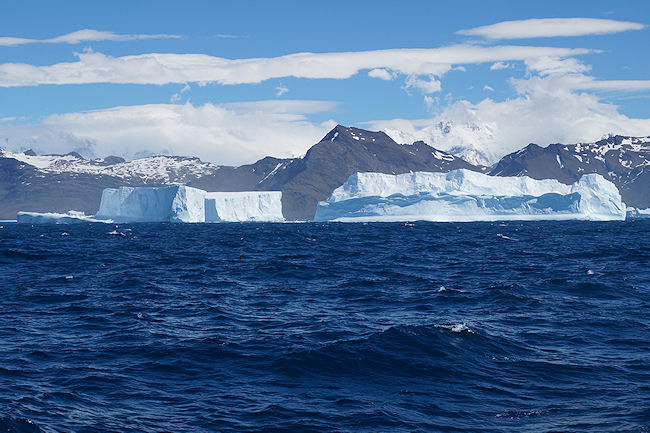 SouthGeorgia_iceberg_DSC06566.JPG