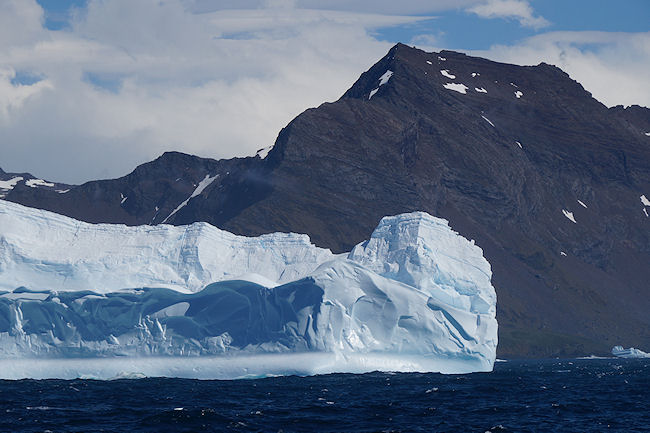SouthGeorgia_iceberg_DSC06571.JPG