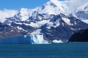 SouthGeorgia_iceberg_DSC06624