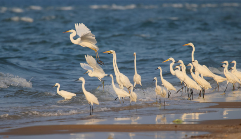 Talaimannar Beach, Sri Lanka