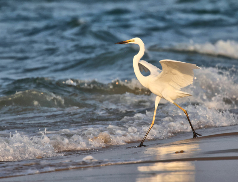 Talaimannar Beach, Sri Lanka