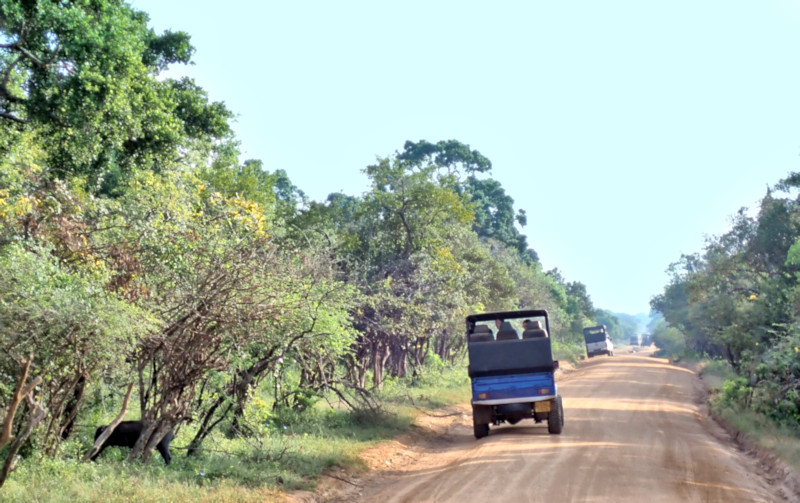  Yala National Park, Sri Lanka