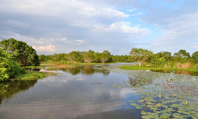 Lagoon, Kalametiya, Sri Lanka