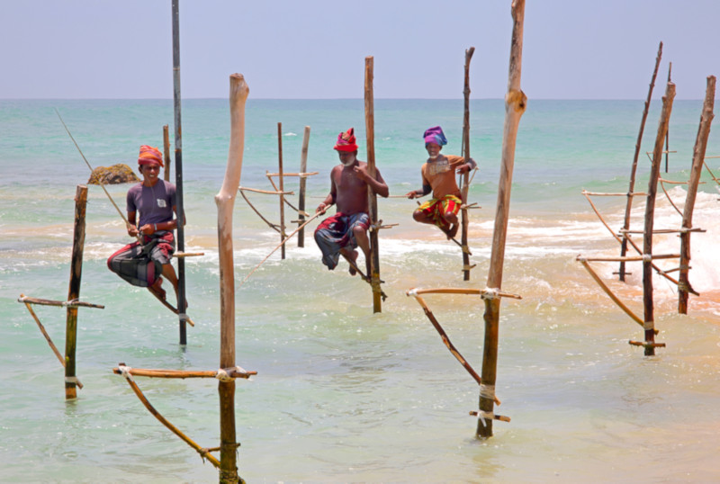 Stilt Fishers, Weligama, Sri Lanka