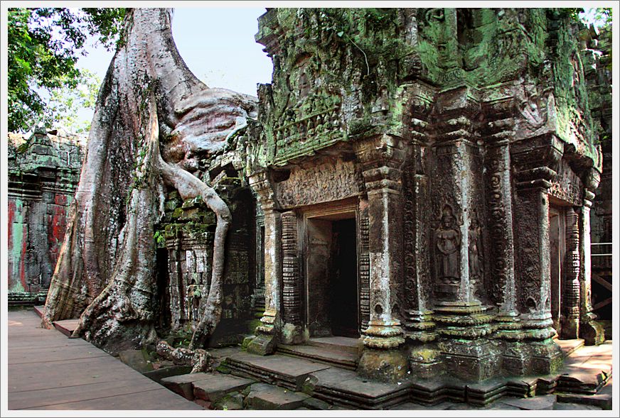 Cambodia_TaProhmTemple_3797_3_m