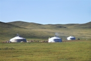 Mongolia_MiddleGobi_2199_m_600