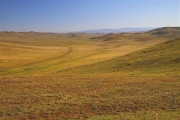 Mongolia_MiddleGobi_2203_m_600