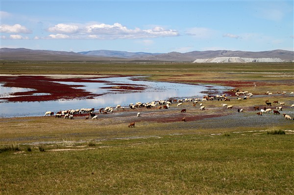 Mongolia_Landscape_GunGaluut_2106_m_600.jpg