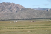 Mongolia_Countryside_2078_600