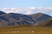 Mongolia_TripToGunGaluut_2157_m_600