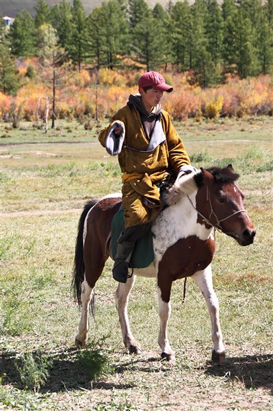 Mongolia_NationalPark_Horses_3015_m_600.jpg
