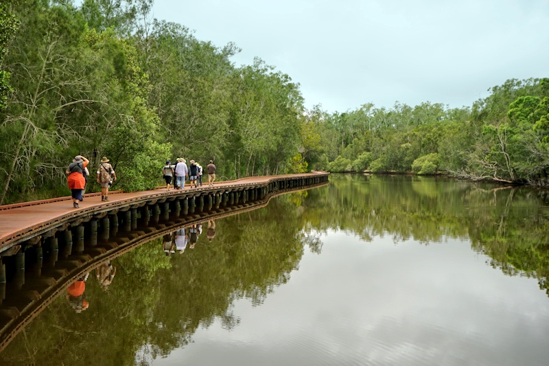 Coombabah Wetlands
