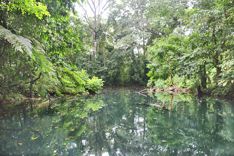 Pool in Eco Park near Mt Arenal, Costa Rica