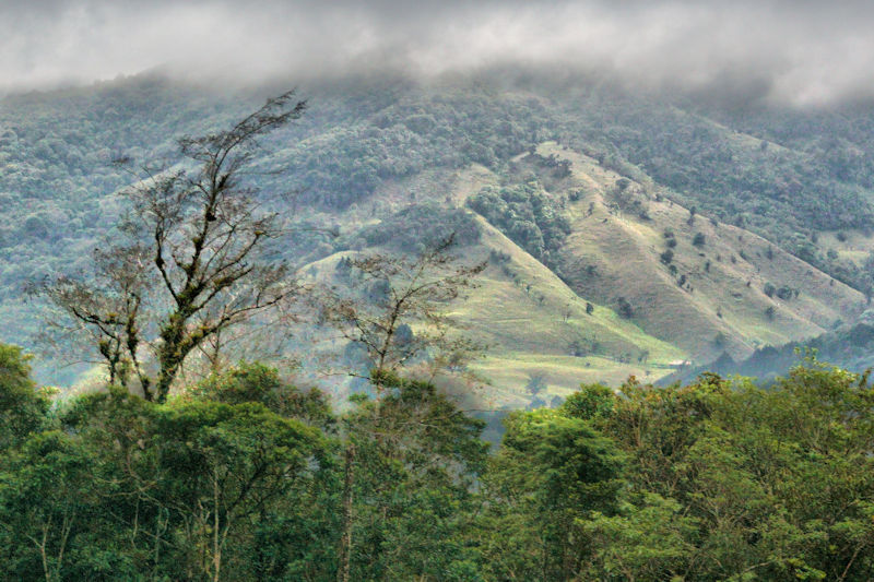 Landscape with low cloud, Costa Rica
