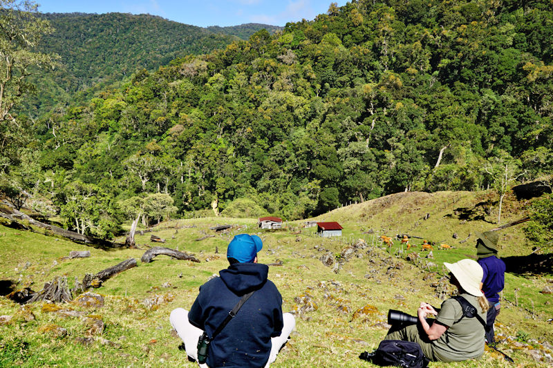 Waiting for the Quetzal bird at nearly 3000 metres in the Cordillera de Talamanca mountains, Costa Rica