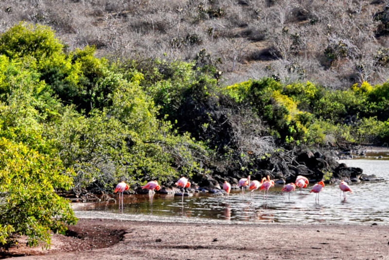 Santiago, Galapagos Islands