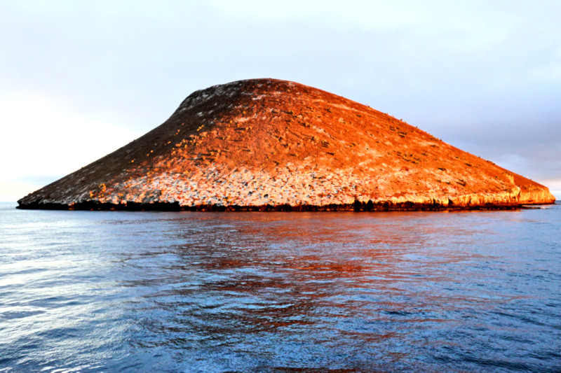 Galapagos Islands - Daphne