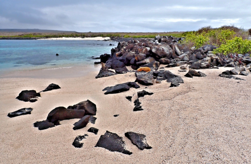 Galapagos Islands - Gardner Bay, Espanola