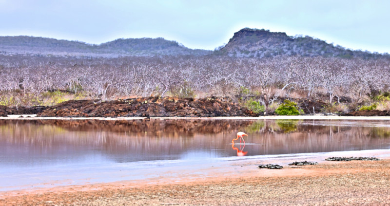 Floreana Island, Galapagos