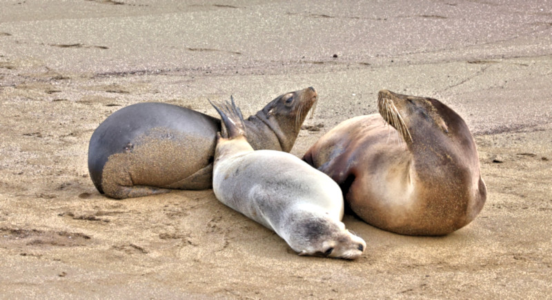 Floreana Island, Galapagos