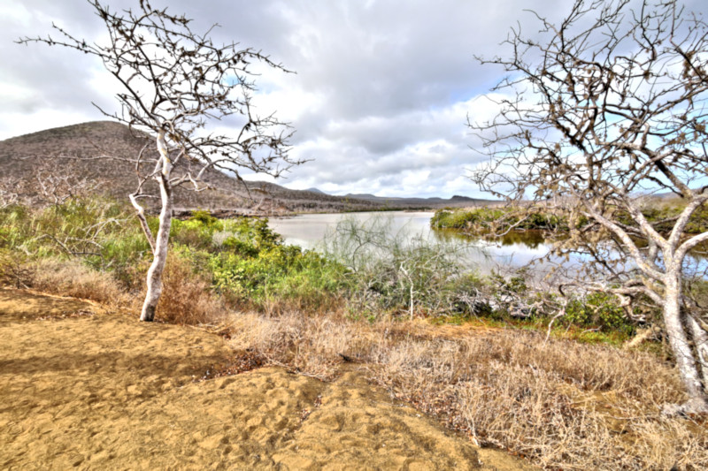 Floreana Island, Galapagos