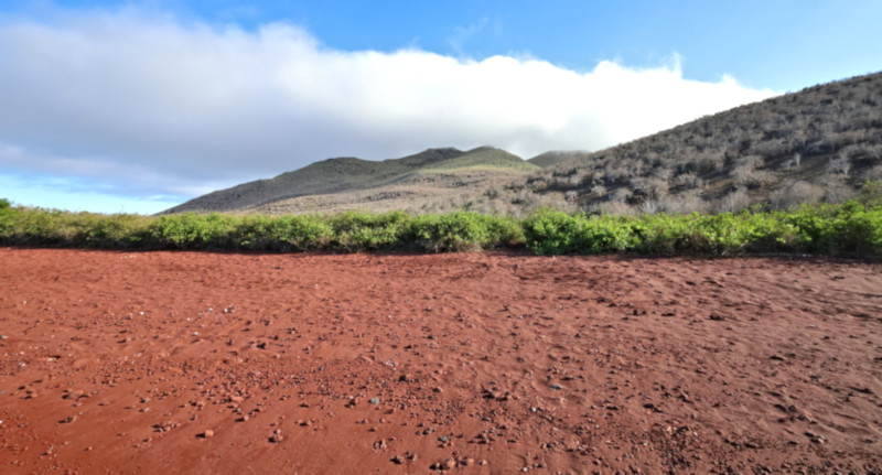 Rabida Island, Galapagos