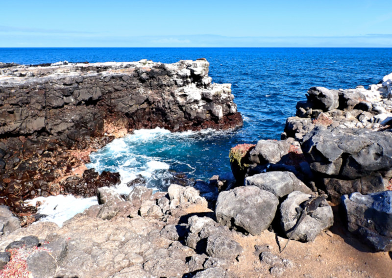 South Plaza Island, Galapagos