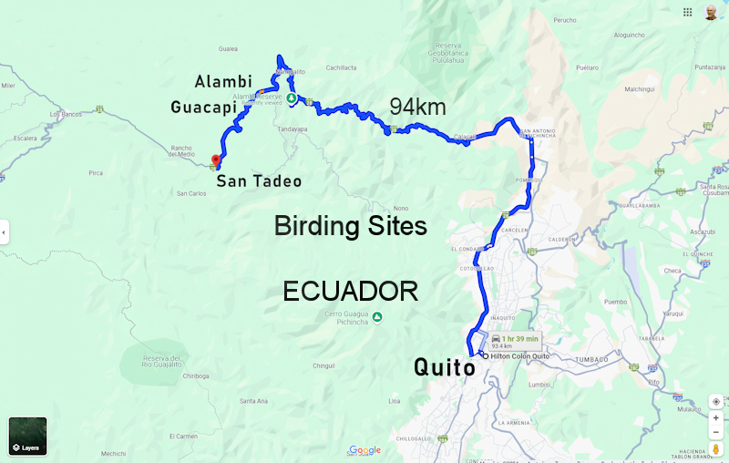 Ecuador Birding