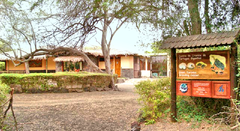 Arnold Tupiza Tortoise Breeding Center on Isabela Island, Galapagos