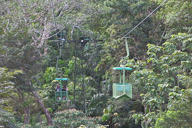 Soberania National Park, Panama