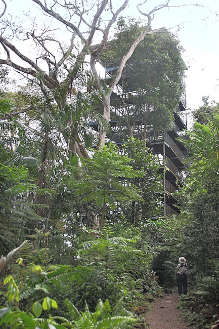 Lookout tower, Soberania National Park, Panama