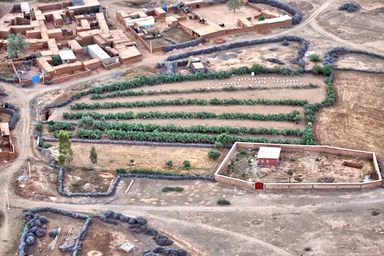 Olive plantation in village seen from a Hot Air Balloon  outside Marrakesh