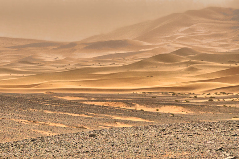 Sahara by Merzouga