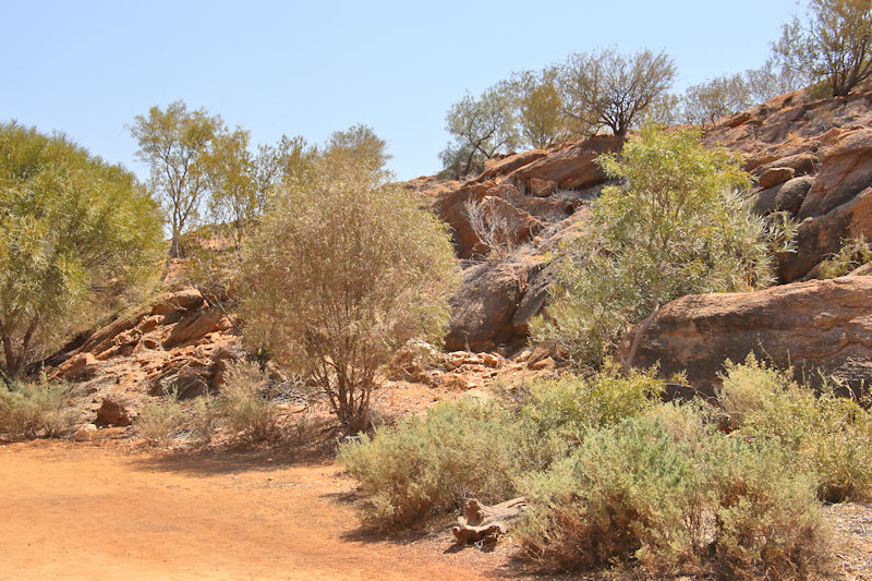 Olive Pink Botanic Garden, Alice Springs