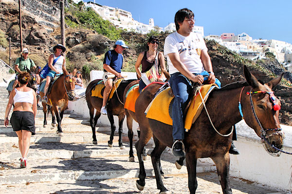 Santorini_Fira_MulePath_0031.jpg