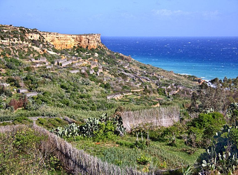 Malta_2441_Gozo_Nadur_Agricultural Terraces and Fencing_m