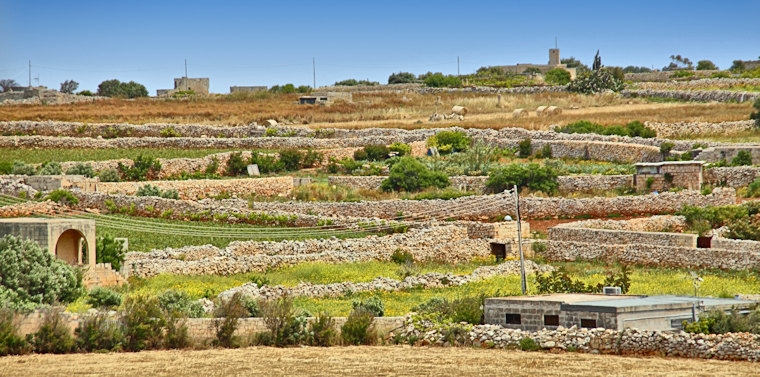 Malta_3259_Agricultural Terraces_m