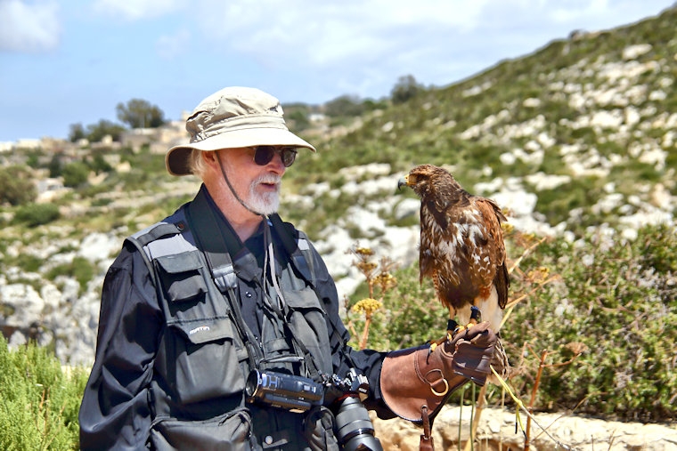 Malta_3272_Falconer's Bird_Golden Eagle_m