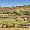 Malta_3259_Agricultural Terraces_m