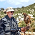 Malta_3272_Falconer's Bird_Golden Eagle_m