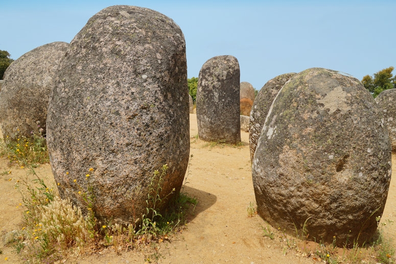 Almendres Cromlech standing stones, 10 km west of Evora, Portugal