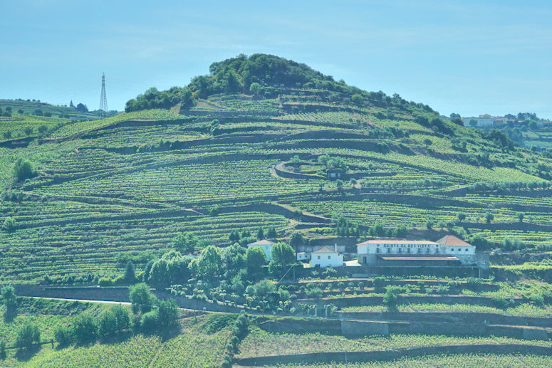 Amarante to Guarda, Portugal