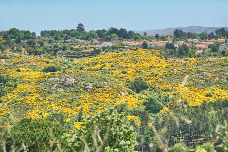 Amarante to Guarda, Portugal