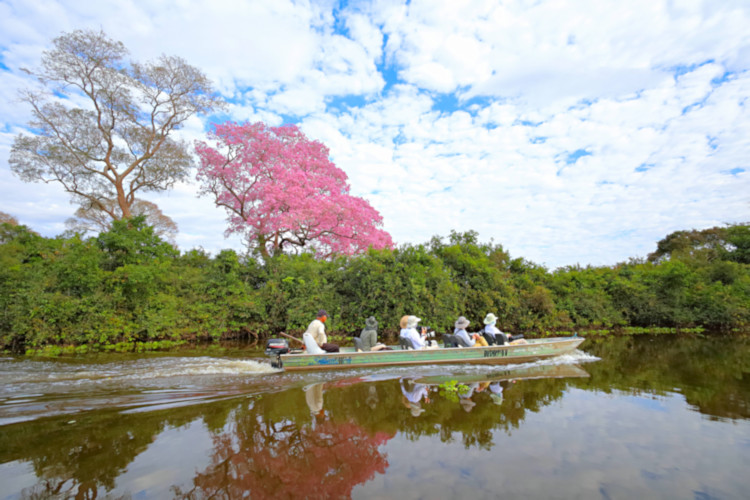 Our photo boat in the Cuiaba River and side waters