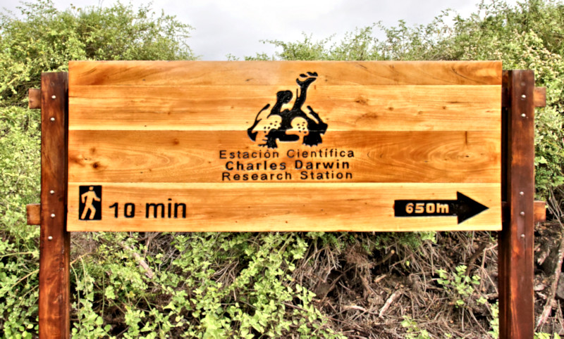 Charles Darwin Research Center, Santa Cruz Island, Galapagos Islands